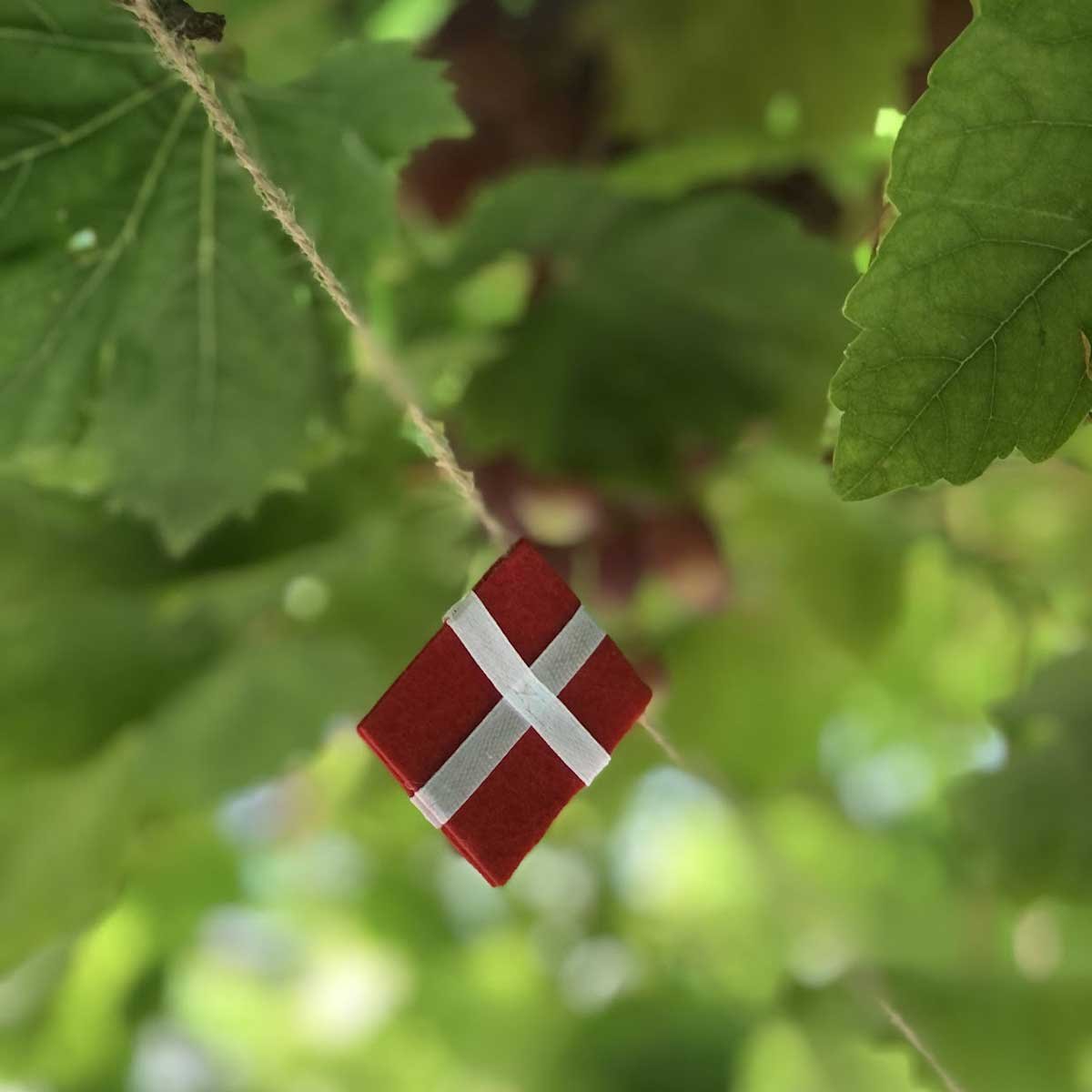 Danish_flag_Tranehuset